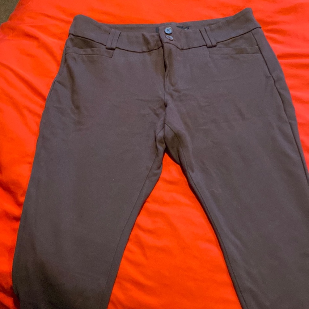 Torrid Brown Trouser